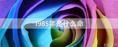 1985年是什么年|1985年算20世纪80年代么？ 1992年是算20世纪90年代还是80年。